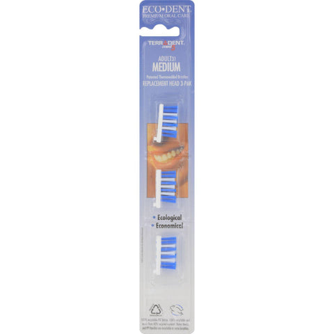 Terradent 31 Toothbrush Head Refill Medium - 3 Refills - Case Of 6