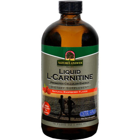 Nature's Answer Liquid L-carnitine Natural Raspberry - 16 Fl Oz