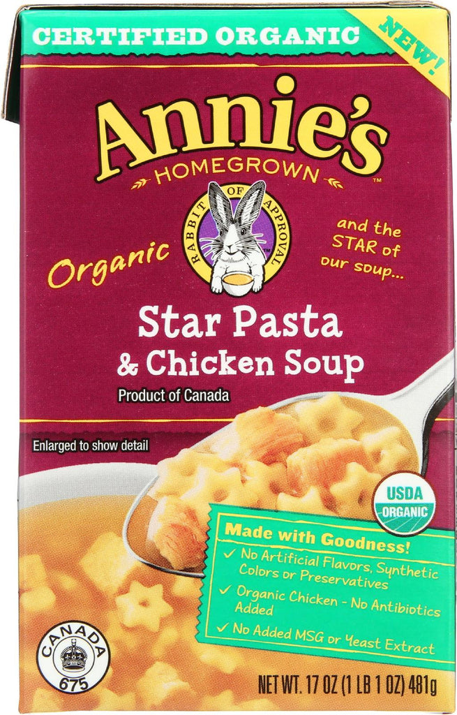 Annie's Homegrown Organic Star Pasta And Chicken Soup - Case Of 8 - 17 Oz.